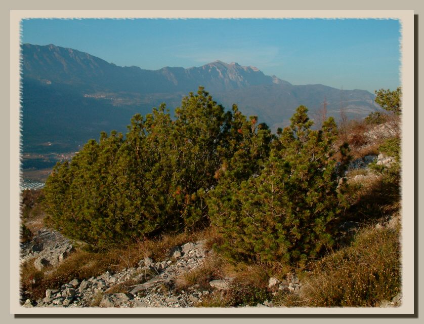 DGPV dissesti di versante